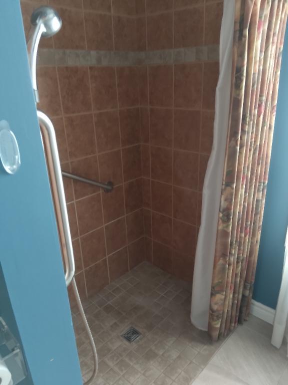 3 1/2 à louer | 3238414