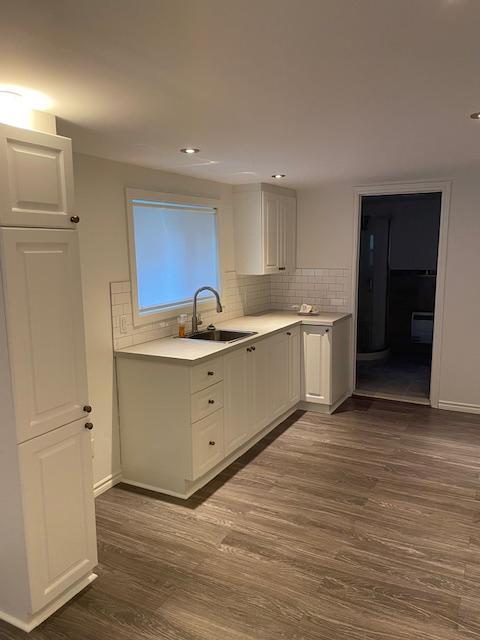 NOUVEAU ROSEMONT LOFT TOUT INCLUS | 3238423