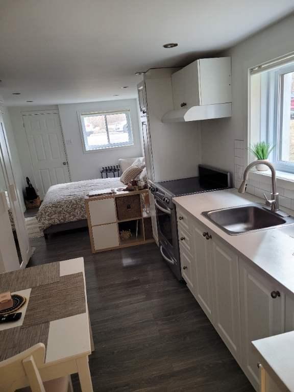 NOUVEAU ROSEMONT LOFT TOUT INCLUS | 3238423