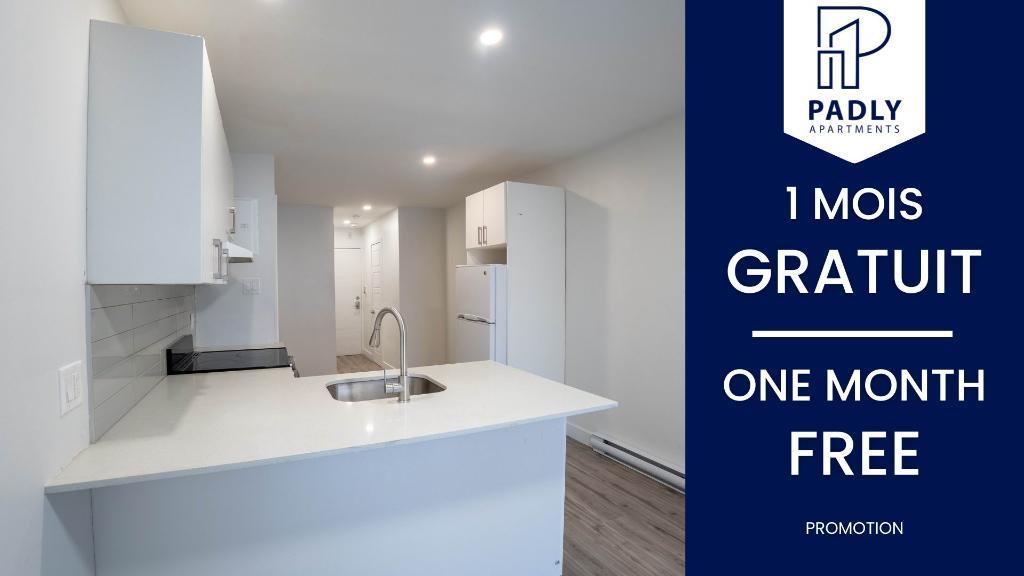 Tout à pied ! Studios modernes Métro Viau 940$/mois à louer Montréal Hochelaga-Maisonneuve/Mercier - appartement / logement | 3238441