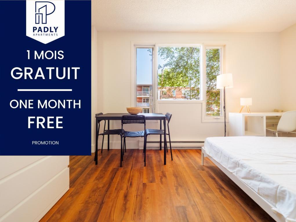 Studio & 1 Ch. Meublé et Rénové dès 920$ | Tout Inclus! à louer Montréal Hochelaga-Maisonneuve/Mercier | 3238442