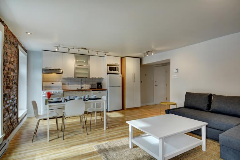 3 ½ entièrement meublé à louer Saint-Jean-Baptiste septembre 2025 | 3238515