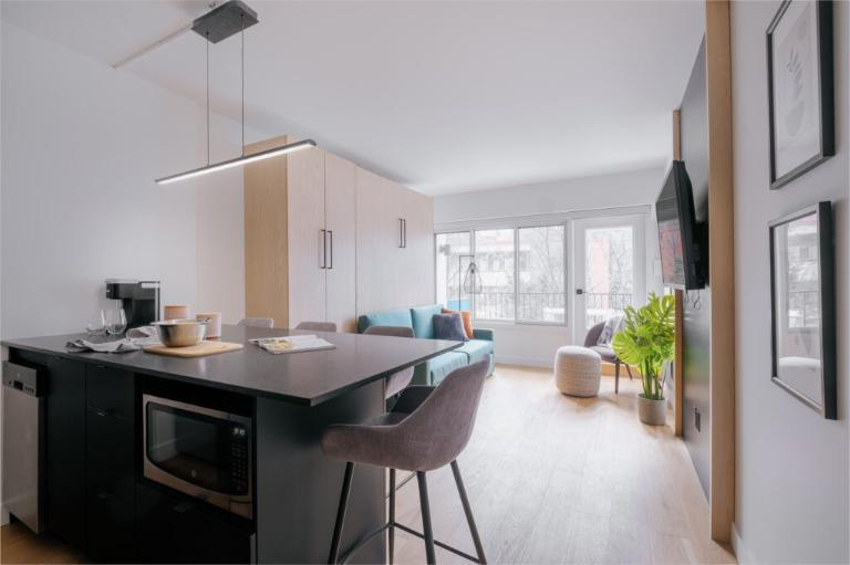 Loft entièrement meublé à louer Saint-Jean-Baptiste septembre 2026 | 3288514