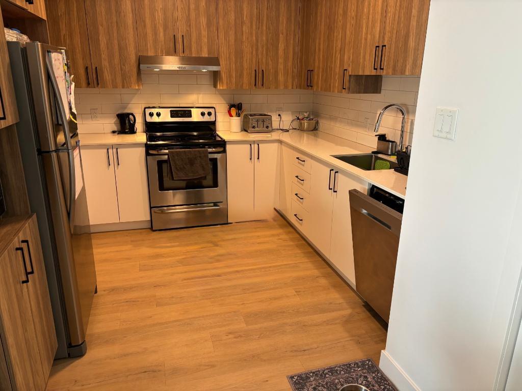 Appartement 4 1/2 Secteur paisible à 5 mins des services St-Hyacinthe à louer | 3238553