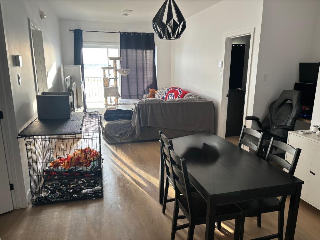 Appartement 4 1/2 Secteur paisible à 5 mins des services St-Hyacinthe à louer | 3238553