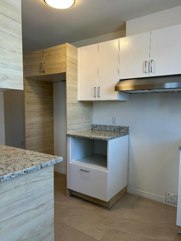 Superbe 4 1/2 Boul du Mi-Vallon fraîchement rénové | 3238560