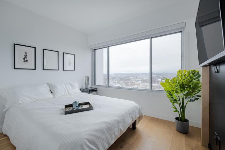 3 ½ entièrement meublé à louer Saint-Jean-Baptiste août 2026 | 3238565