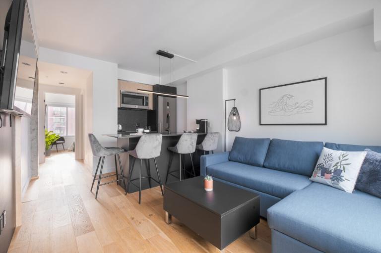 3 ½ entièrement meublé à louer Saint-Jean-Baptiste septembre 2026 | 3238566