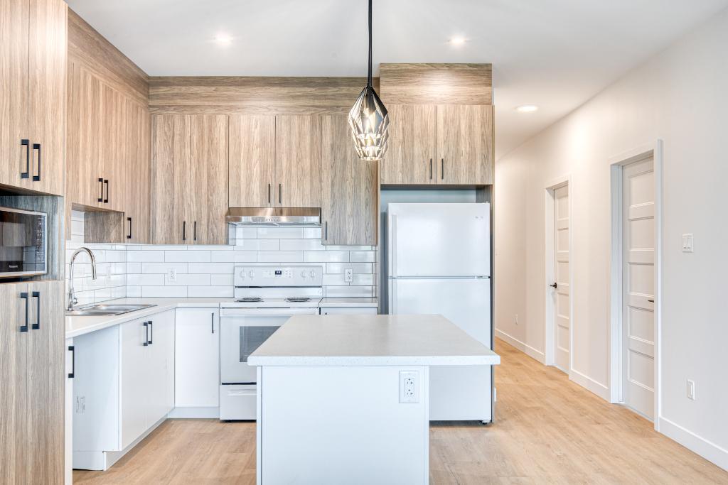 Appartement moderne 5 1/2 au rdc St-Hyacinthe - logement à louer | 3238590