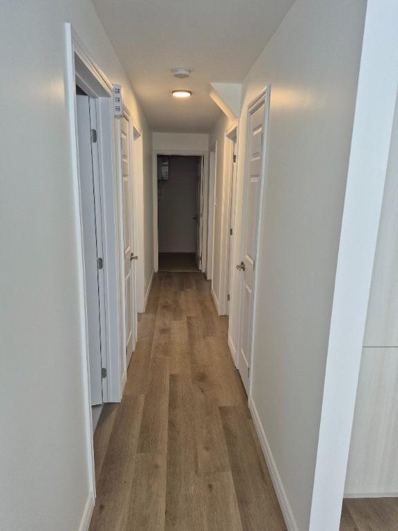 logement 4 1/2 | 3238606