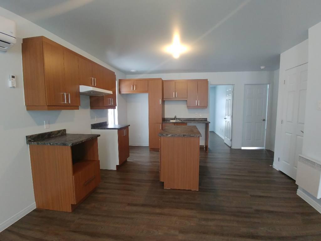 Lavaltrie Maison jumelée 2019 avec garage attaché | 3238608