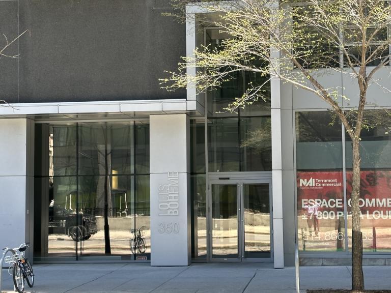 3 1/2 - Montréal (Ville-Marie (Centre-ville)) - 1 750 $/mois | 3238610