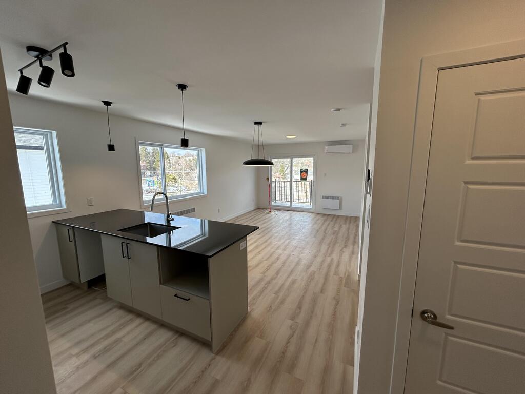 3 1/2 Neuf à Louer | 3239253