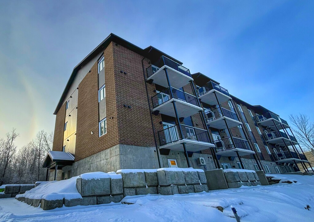 5 1/2 Construction 2025 | 3239433