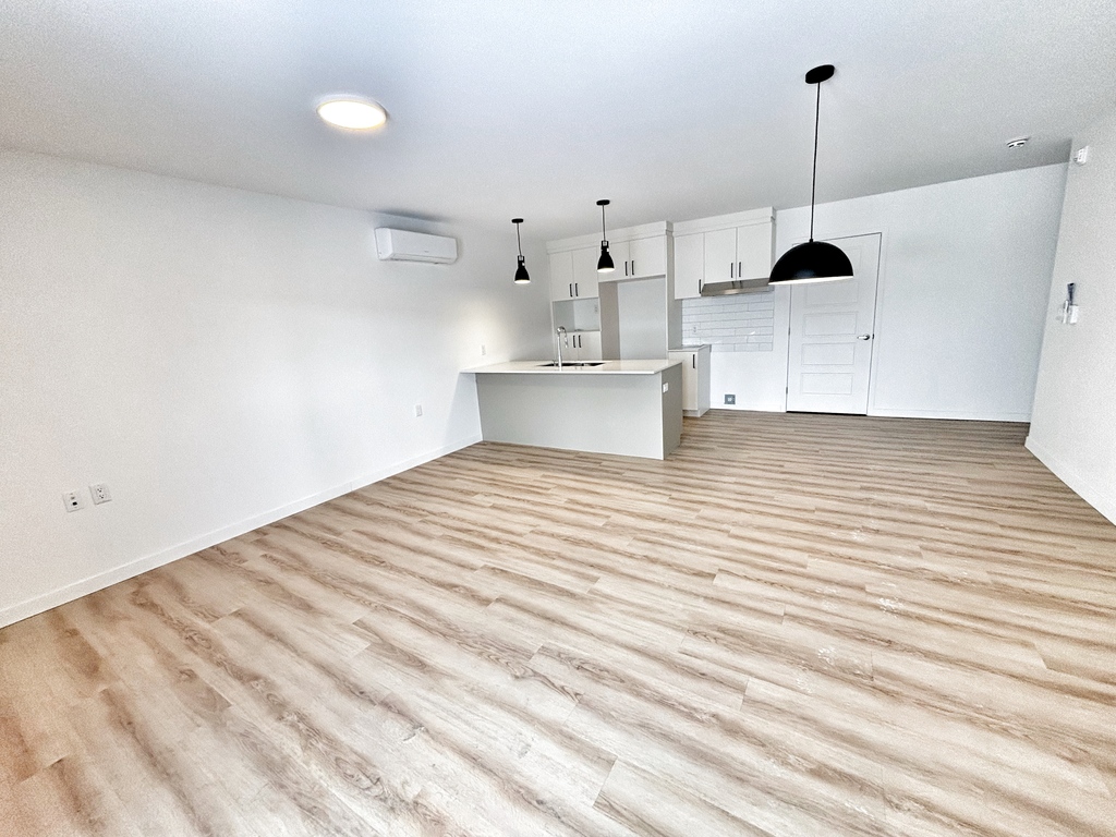 5 1/2 Construction 2025 | 3239433