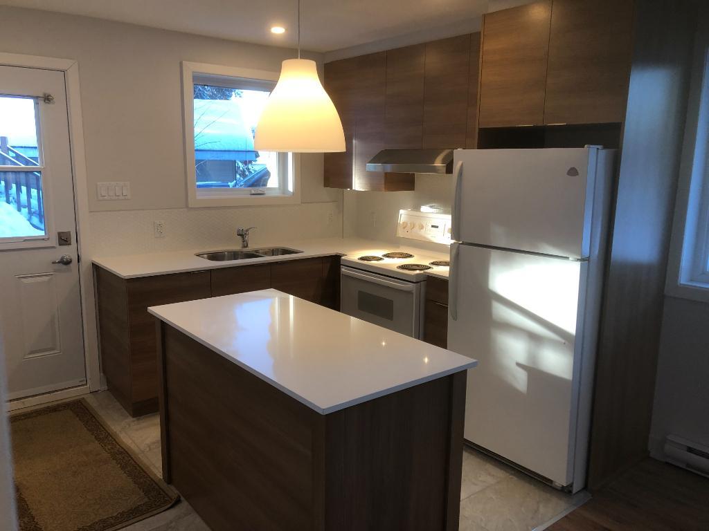 Tremblant 4 1/2 à louer 1 330$/mois | 3239464