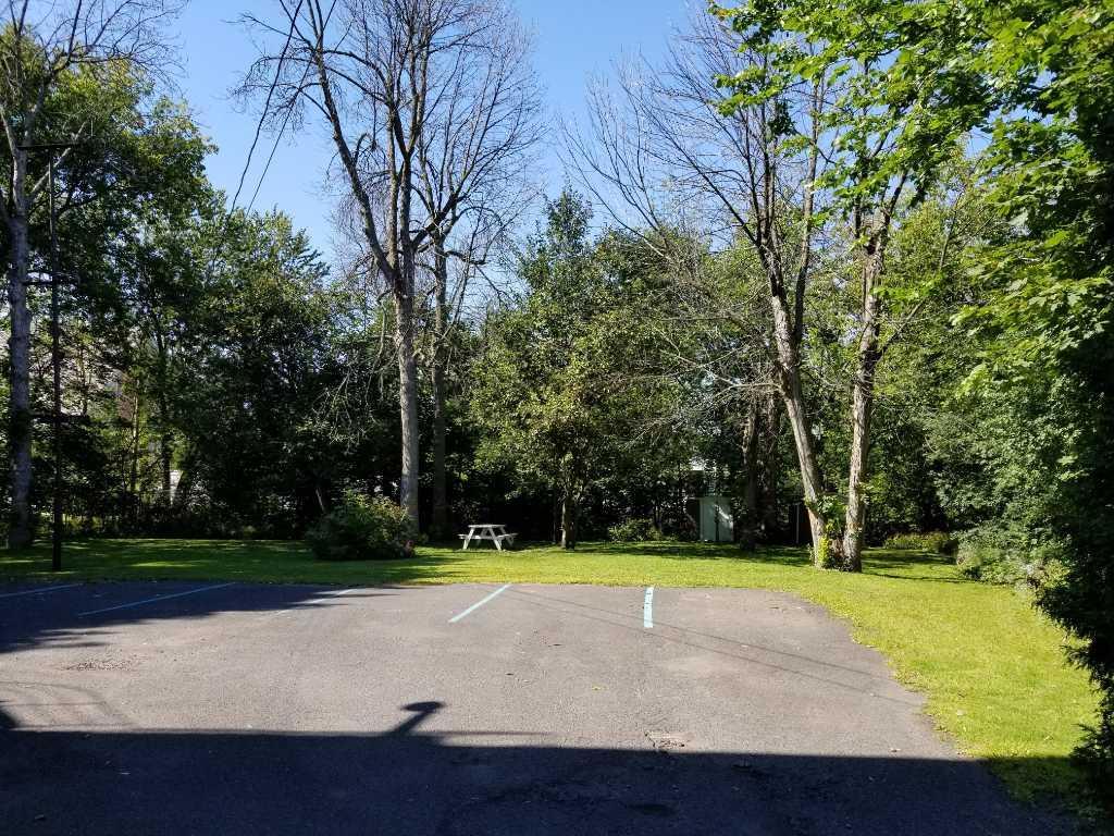 Oasis à Saint-Lambert: beau 4 1/2 quiétude, renové, lumineux | 3239482