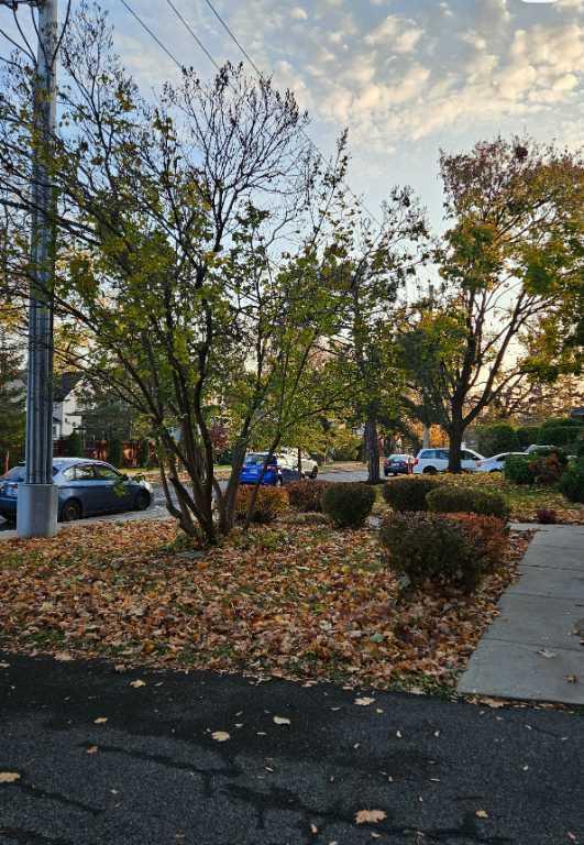 Oasis à Saint-Lambert: beau 4 1/2 quiétude, renové, lumineux | 3239482