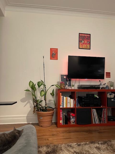 BEL APPARTEMENT DANS LE SECTEUR DE ROSEMONT | 3239483