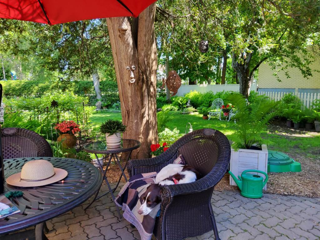 LÉVIS. RARE SUR LE MARCHÉ. 7 1/2 (3 ch.). 1er juillet (possibilité 1er août). Chauffé, éclairé, climatisé, déneigé (la totale, sauf Internet) | 3239521