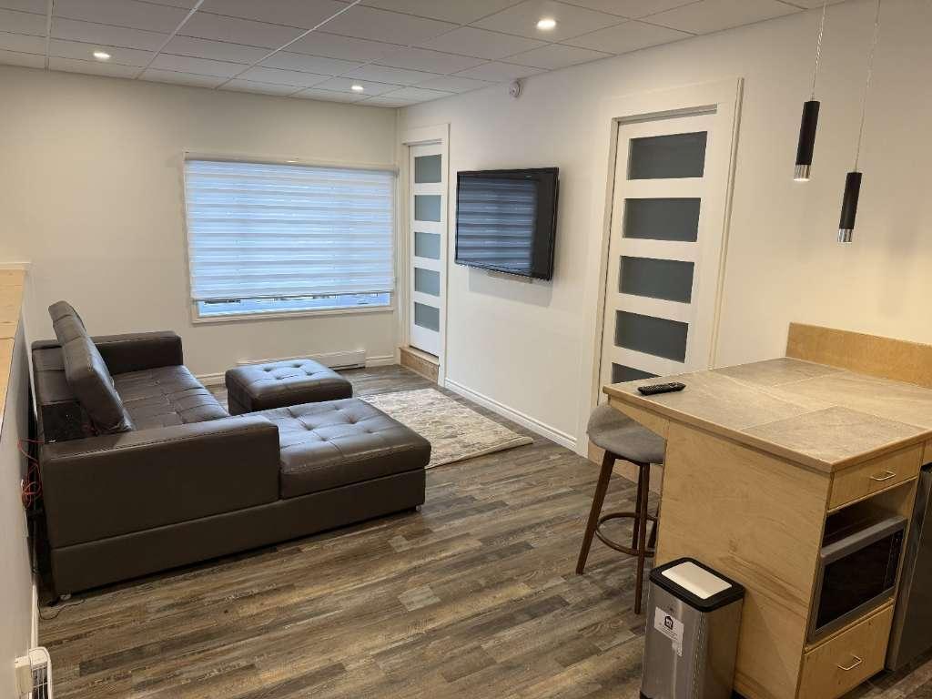 Loft meublé haut de gamme à louer – secteur recherché de Sherbrooke | 3240408