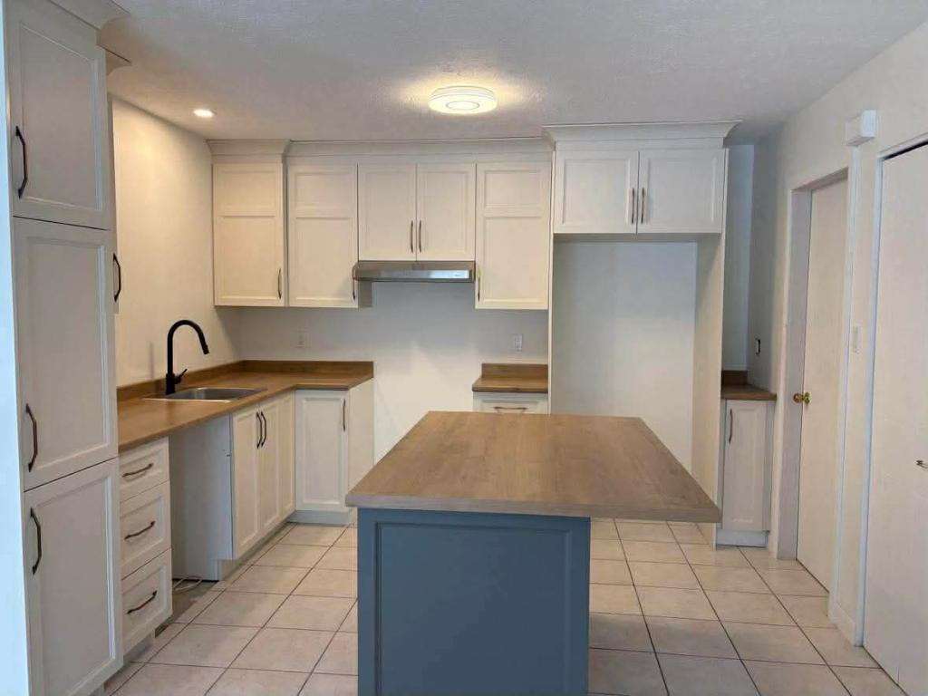 GRAND 4 1/2 RÉNOVÉ - REZ-DE-CHAUSSÉE - FACE À UN PARC - DISPONIBLE 1ER MAI | 3240420