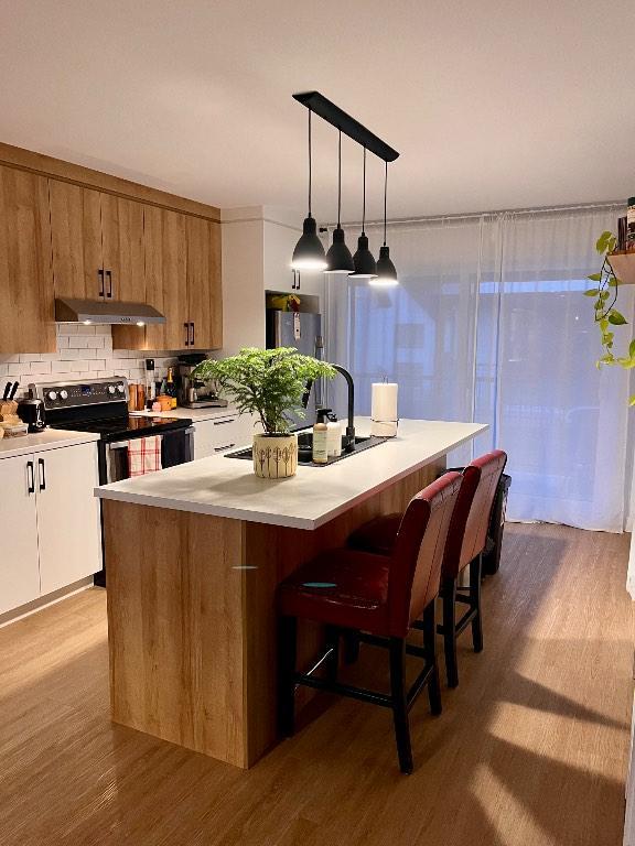 Beau 4 1/2 récent (2023) à louer pour le 1er juillet 2026 ou peut-être avant dans le secteur de La Présentation. | 3240425