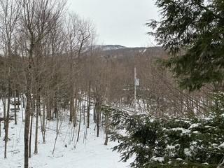 Sutton - Joli 4½ au dernier étage, à louer à l’année, 1500$/mois. | 3240426