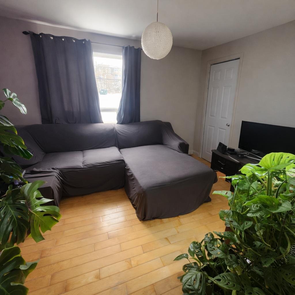 Immeuble - 357-365 12e Av Nord 3 ½ à Louer – Dernier étage – Près Du Cégep De Sherbrooke | 3240533