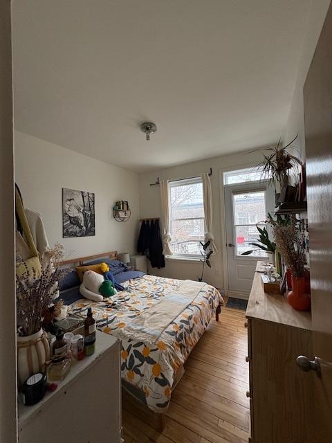 Logement 4 et demi Rosemont | 3240842