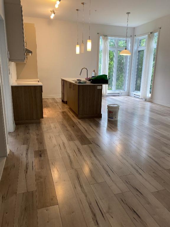 Unité de coin - magnifique appartement 4 1/2 à Longueuil | 3240854