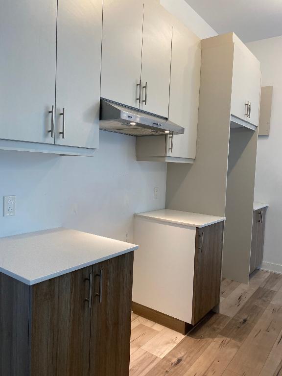 Unité de coin - magnifique appartement 4 1/2 à Longueuil | 3240854