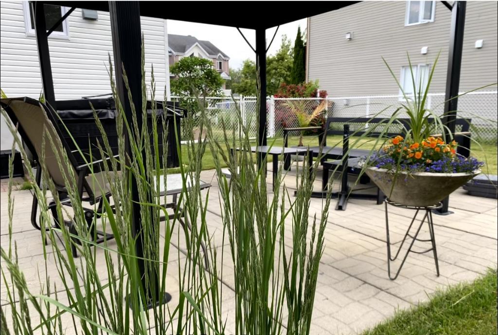 MAISON ENSOLEILLÉE – DATE D’ARRIVÉE À DISCUTER | 3240901