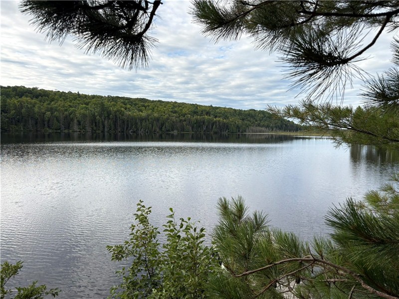 Lakefront, Off grid, Nature lovers Retreat | 3277941