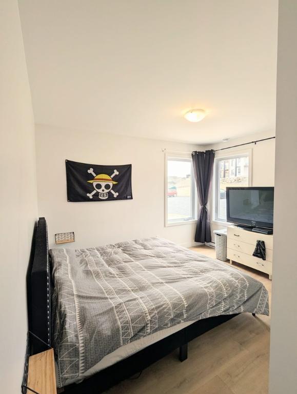 Grand 4 1/2 MODERNE - Animaux acceptés ! - Beauceville | 3241452