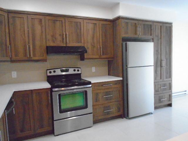 5 ½ Papineau et Louvain 5 électros à Montréal LIBRE | 3241500