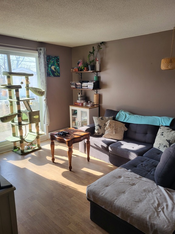 Appartement 1 Chambres à Louer | 3264313