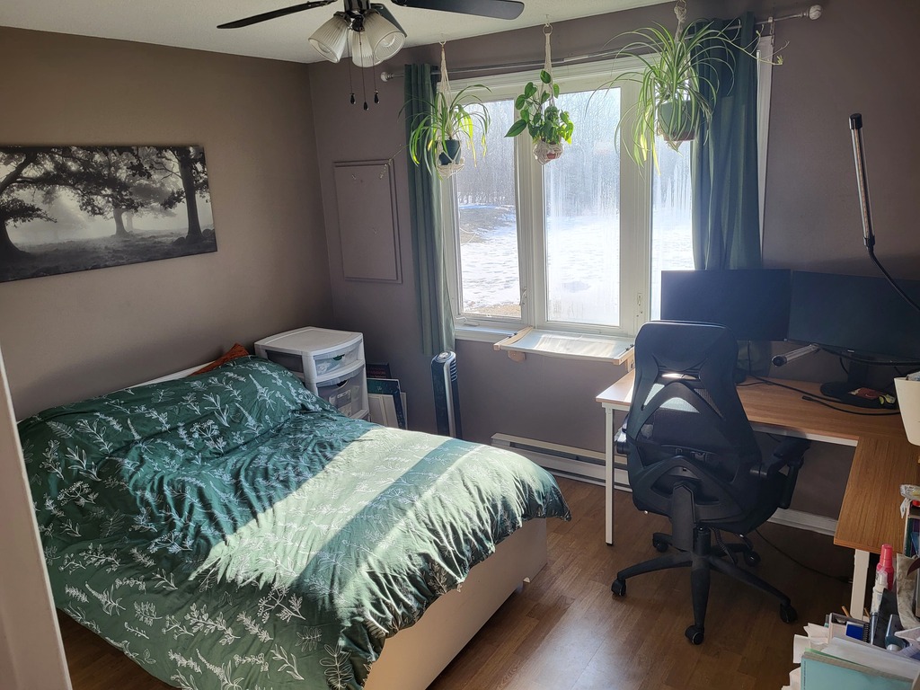 Appartement 1 Chambres à Louer | 3264313