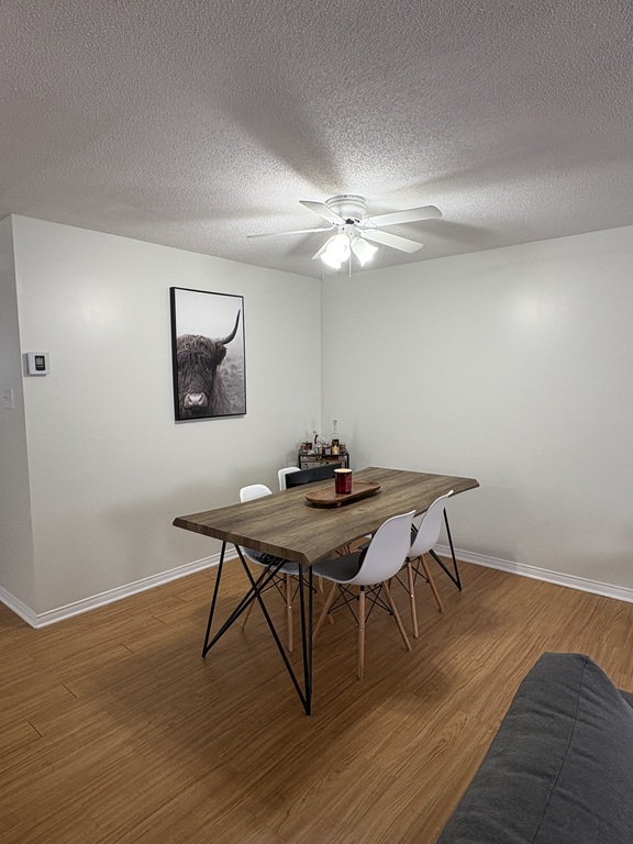 4 1/2 Gatineau - Grand Demi Sous-sol | 3266089