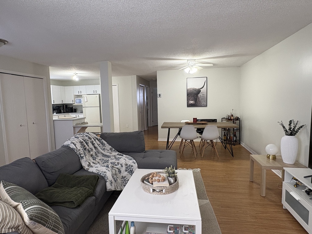 4 1/2 Gatineau - Grand Demi Sous-sol | 3266089