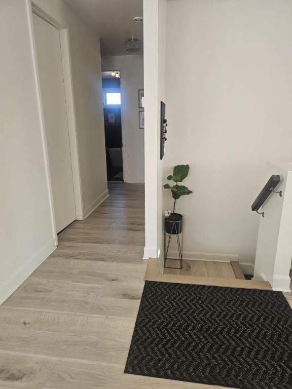 Appartement 5 1/2 haut de triplex | 3279496
