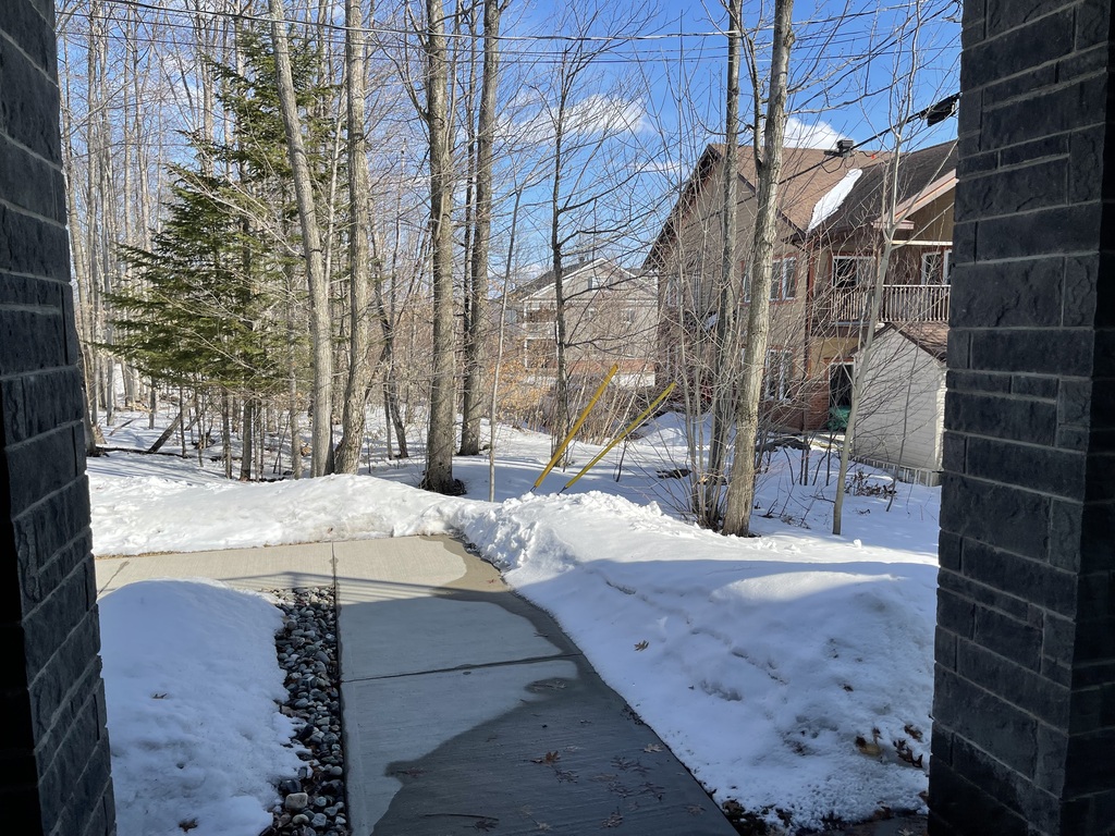 Condo Locatif Rez De Jardin | 3268481