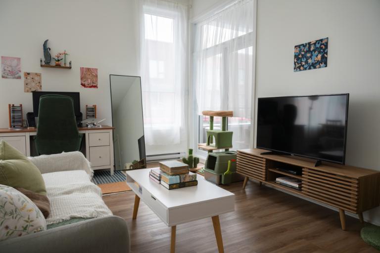 3 1/2 - Montréal (La Petite-Patrie) - 1 755 $/mois | 3277369