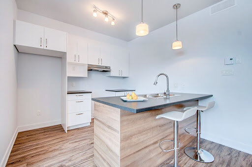 209 Rue Du Pirée (Plateau) Magnifique Logement 3,5 Dans Un Secteur Calme | 3266073