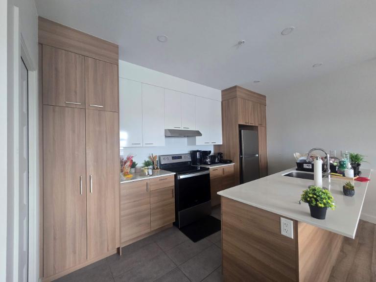 Appartement 4 1/2 haut de gamme à louer – Secteur Sainte-Foy | 3283744