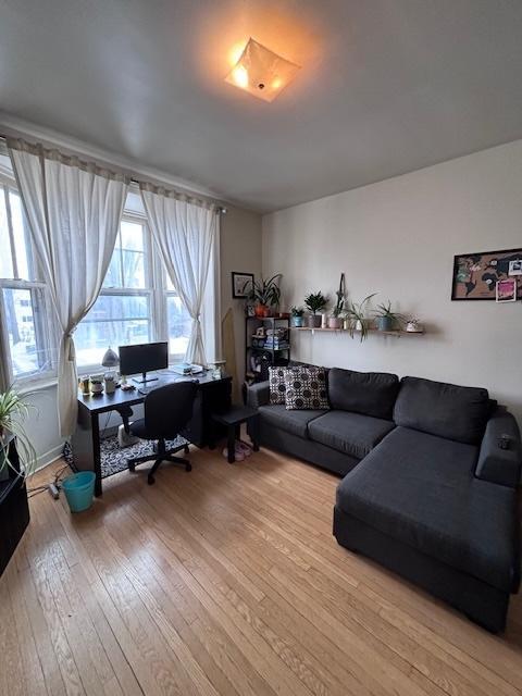 Quartier Montcalm, Québec, beau 3 1/2, aire ouverte, orienté sud, Internet gratuit | 3283608
