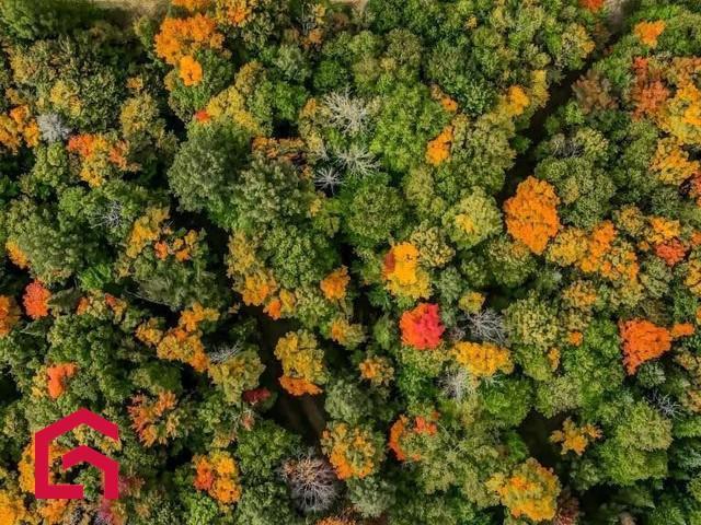 Terrain | 3283913
