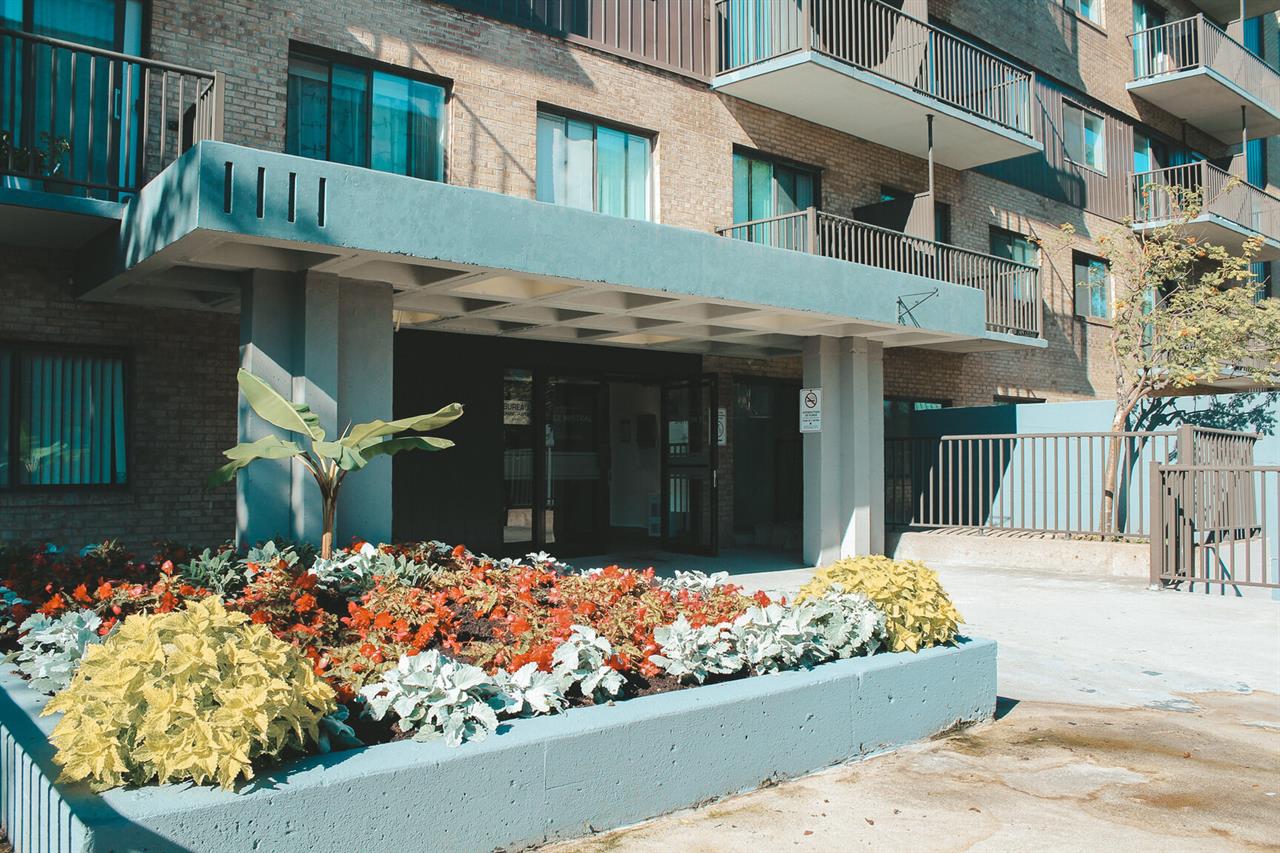 Large 1 Bedroom - 1111 Rue Mistral, Montréal | 3273219
