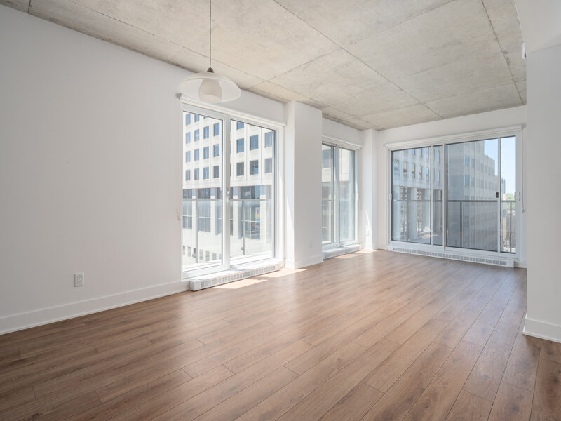 1 Bedroom - 1325 Rue St-Andre, Montréal | 3269714