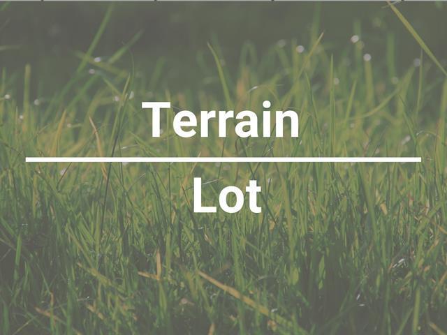 Terrain | 3277654